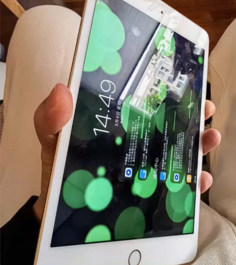 闲置 ipad mini4 64G 金色 ...