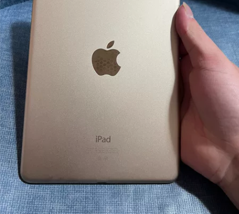 iPad mini4国行128g iPad...