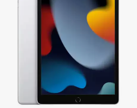 iPad 9代 10.2英寸  2021 ...