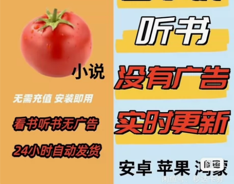 番茄小说会员+365天svIP会元 _无广...