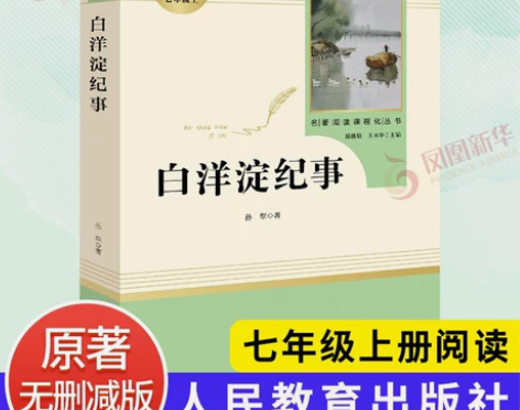 白洋淀纪事 七年级上册语文名著阅读课程化丛...