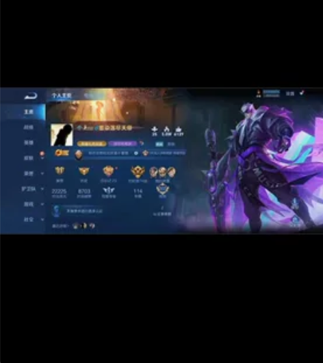 卓q区 王者贵8 孙悟空荣耀典藏，白虎志，...