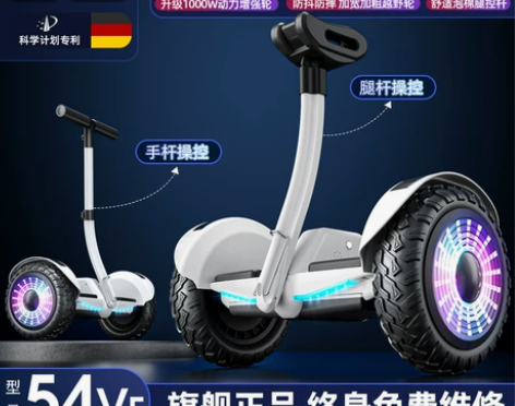 德国ZOLA官方旗舰店2023新款平衡车智...