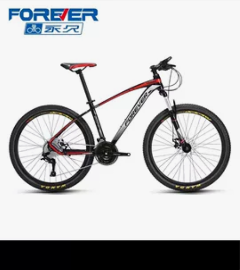 闲置上海永久牌山地自行车单车，永久官方旗舰...