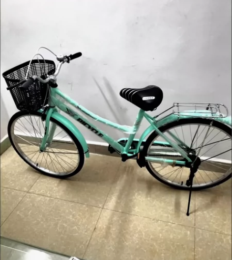 【特价处理，全新包邮】凤凰单车24-26寸...