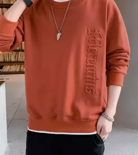 稻草人男士卫衣休闲圆领春秋长袖上衣打底百搭T恤 感兴趣的话点...