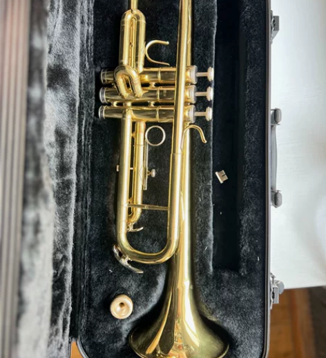 risetone牌子的小号，功能正常，就是...