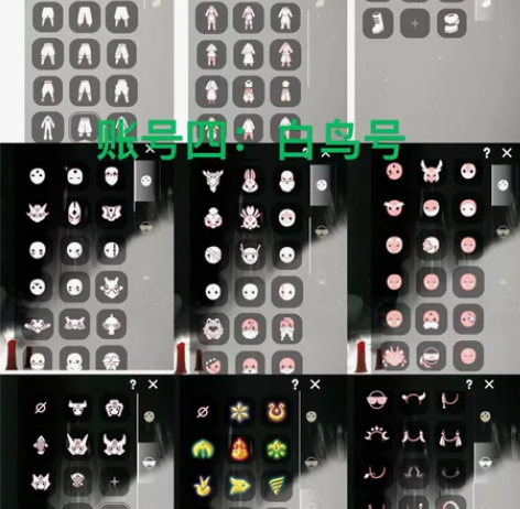 光遇白鸟号永久共的，不过只能从0点到12点...
