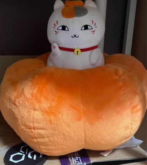 猫咪老师一番赏 太大了 有些占地方  喜欢...