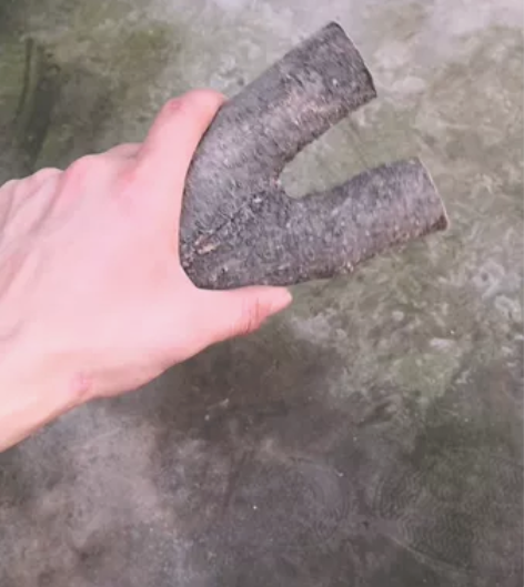 琅琊木紫油梨，爆出紫芯，微反曲原叉弓料，干...