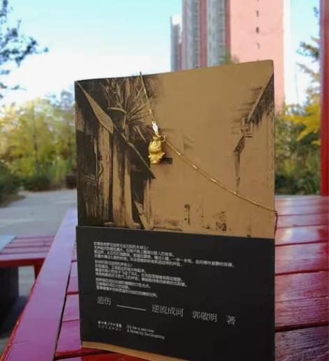 珍藏正版，2007年初版老版第一版 悲伤逆...