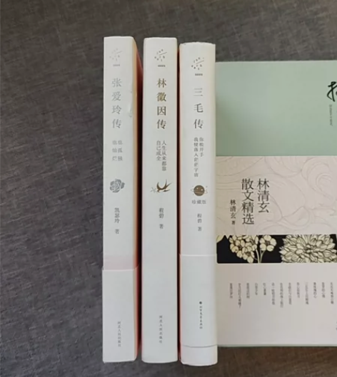 正版书籍 精装全3册 三毛传（你松开手我便...