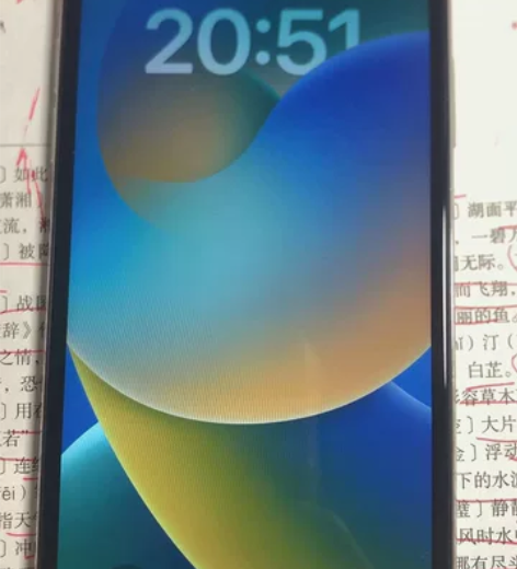 苹果x，64g的，没有面容啦，换了电池和屏...