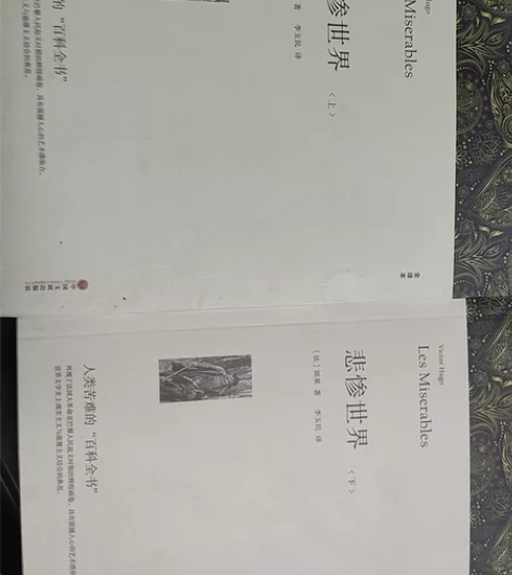 悲惨世界上下两册送一本巴黎圣母院 感兴趣的...
