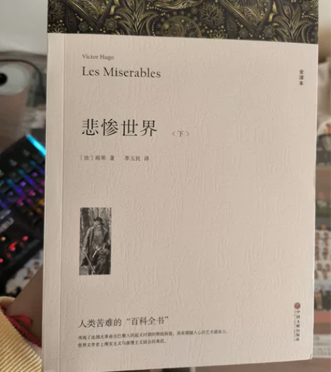 世界名著悲惨世界上下两册，全新，便宜出，可...