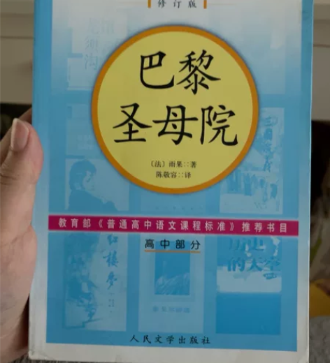 巴黎圣母院/世界十大文学名著 感兴趣的话点...