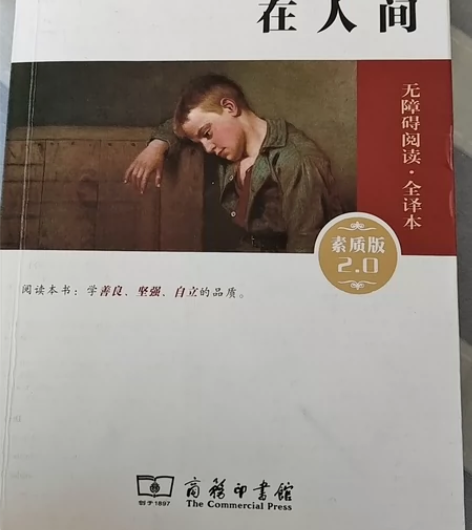 在人间(素质版无障碍阅读全译本)/经典名著...