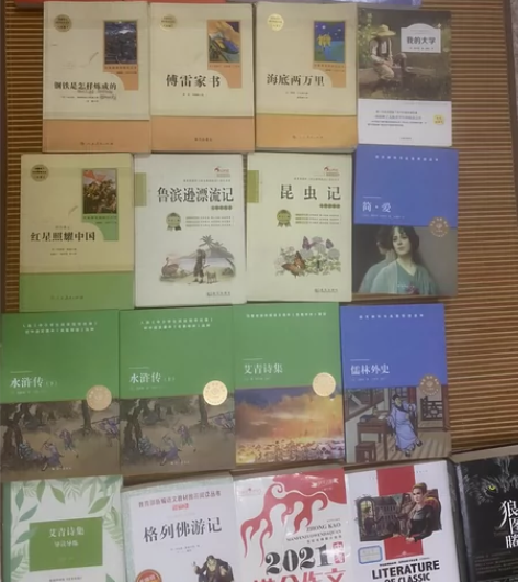 中小学必读书目 简爱 水浒传 儒林外史 艾...