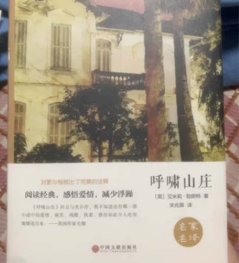 出呼啸山庄(精) 推陆沉的时候看过几次 可...