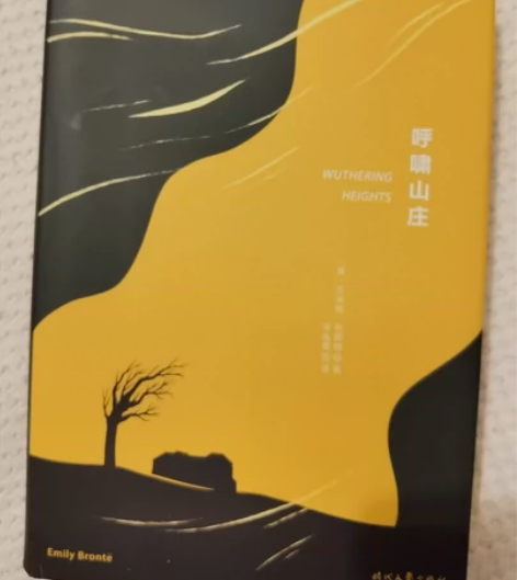 呼啸山庄(精装) 感兴趣的话点“我想要”和...
