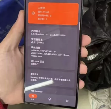 红魔9Proroot机，已经获取内核roo...