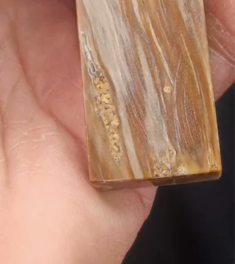 树化玉小镇纸（带虫卵的）尺寸12/2.7/...
