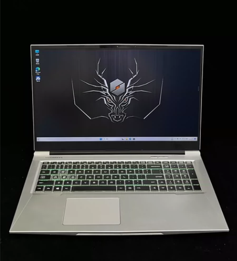 机械革命旷世G16PRO 4070显卡 i...