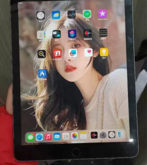 本人自用苹果iPad2019 128G平板...