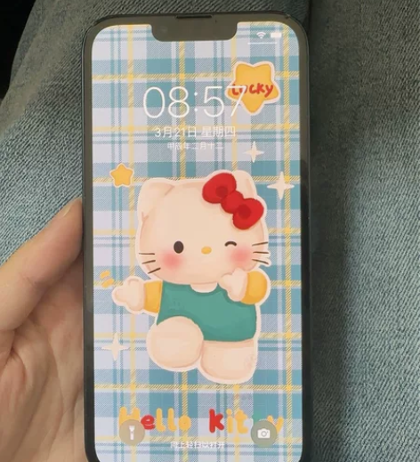苹果13 黑色 128g 之前的直播手机 ...