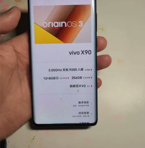 vivo X90 256g 换新手机了建议...