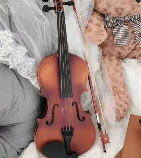 朋友送的原价1500的4/4实木手工小提琴...