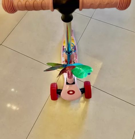 Disney滑板车，因为有两个，基本玩的很...