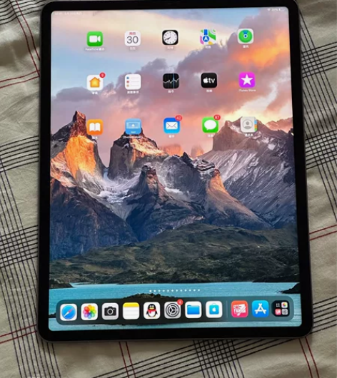 iPad Pro 2021 (第5代)国行...