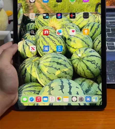 95新ipad pro 2021款 11寸...
