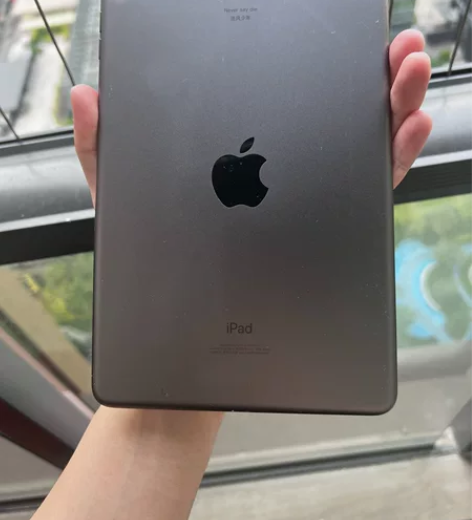 出个自用的ipad mini5 国行官网 ...