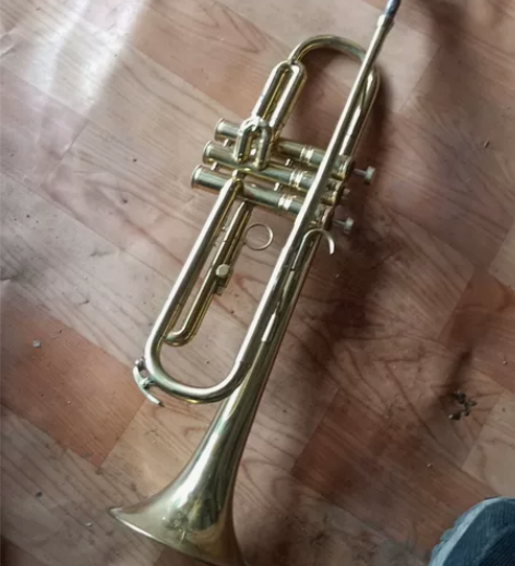 金雀小号，160元。 感兴趣的话点“我想要...