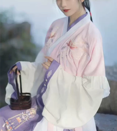 花雨辞原创羽笙汉服女春夏晋制交领半袖晋襦刺...