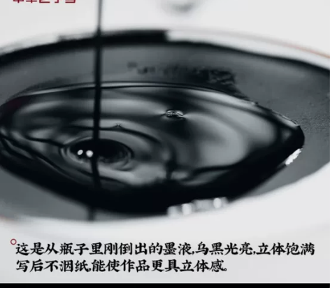 #墨水荣宝斋 高级墨汁 春联对联专用墨汁墨...