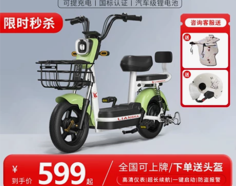 热销TOP1-新款新国标电动车女士成人代步...