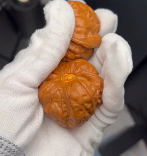 出蛙饼 肚子是41.5 桩型很矮的蛙饼 满...