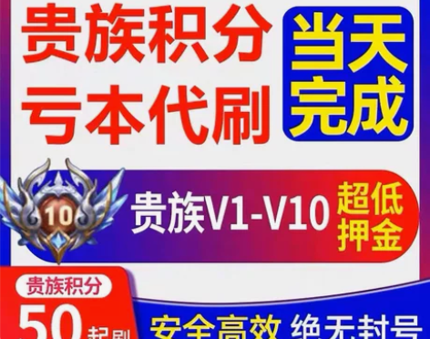贵族低价接单王者荣耀贵族积分代升V8V10...