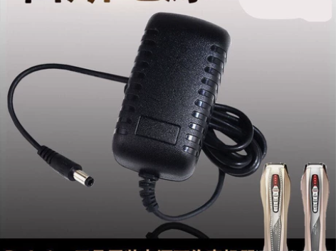 全新 通用款美容仪宙斯充电器电源线Zeus...