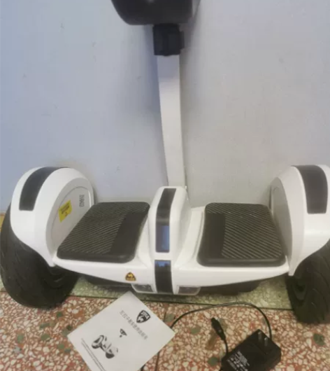 ZOLA德国左拉10时鼎配白双控避震轮，说...