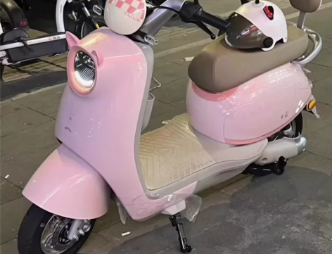 白菜价甩卖二手电动车，电动自行车低价处理 ...