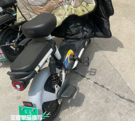 出绿源电动车 2023年入手 有购买记录 ...