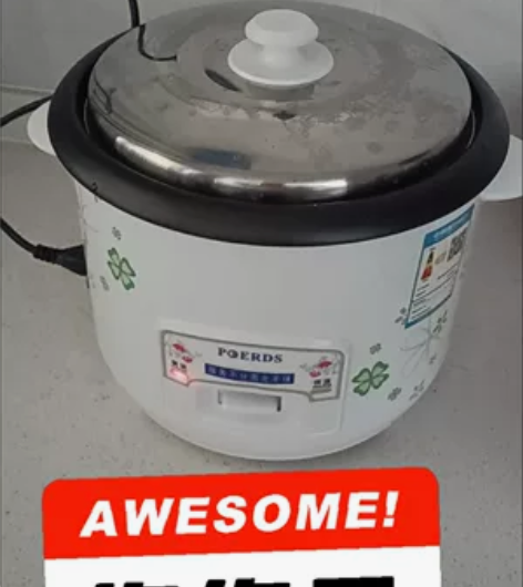 清仓特价 包邮 全新 老品牌红三角 半球...