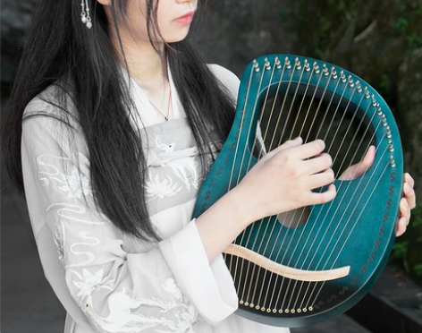 ?莱雅琴男女初学者16弦小众乐器原木19弦...