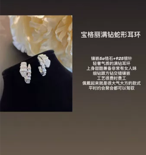 【宝格丽满钻蛇形耳环】 镶嵌5a锆石+92...