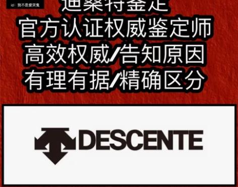 迪桑特鉴定 迪桑特羽绒服鉴定 descen...