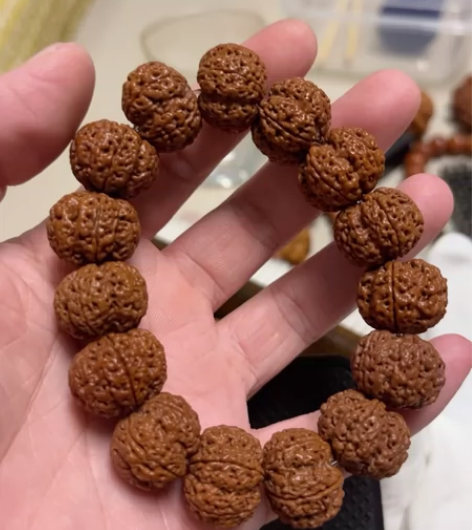 古龙梅花大金刚尺寸19?，矮桩大金刚皮质好...
